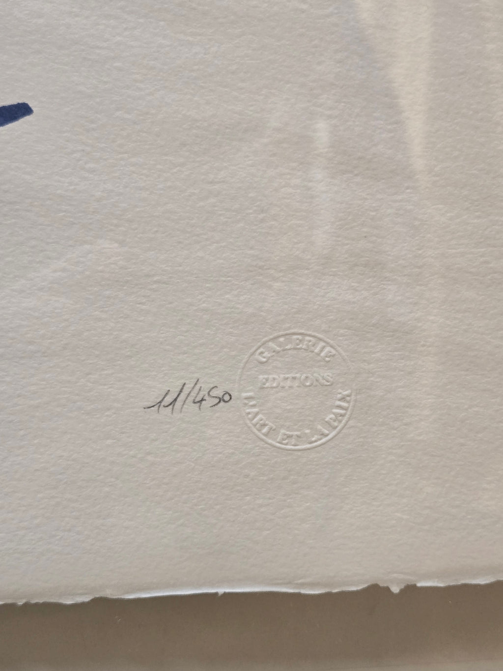 Pablo Picasso — Colombe aux Fleurs | Nummerierte Lithographie 11/450 | Galerie Editions L'Art et la Paix
