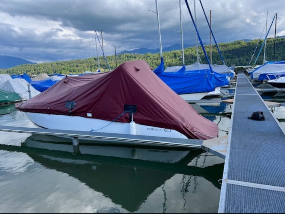 Motorboot COBALT 232