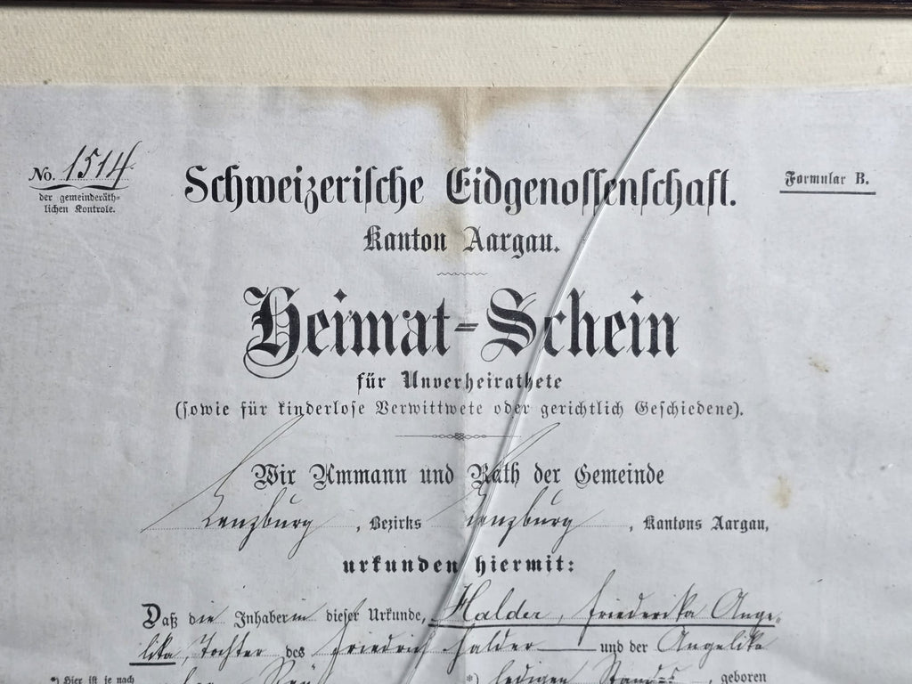Heimatschein Kanton Aargau Lenzburg Halder 1884