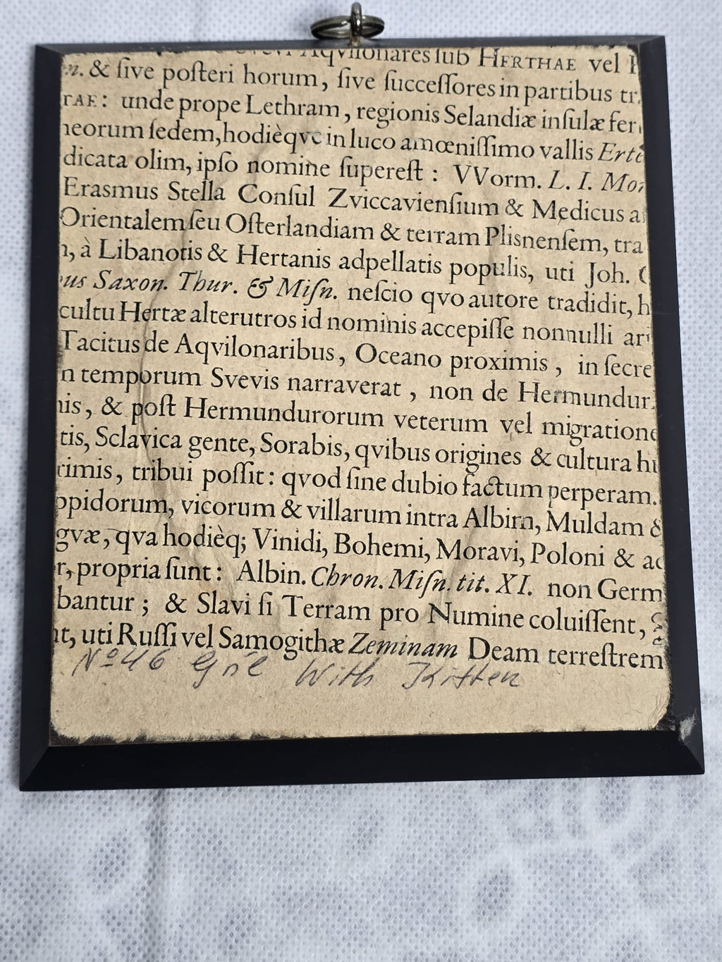 Porträtminiatur Dame mit Katze — Rokoko Stil Elfenbein Gouache Signiert